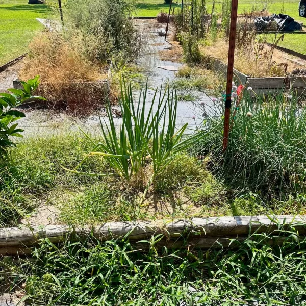 bush-hogging-kim's-lawn-care-ville-platte